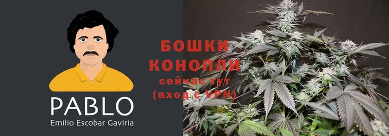 купить наркотик  Вышний Волочёк  Канабис Ganja 